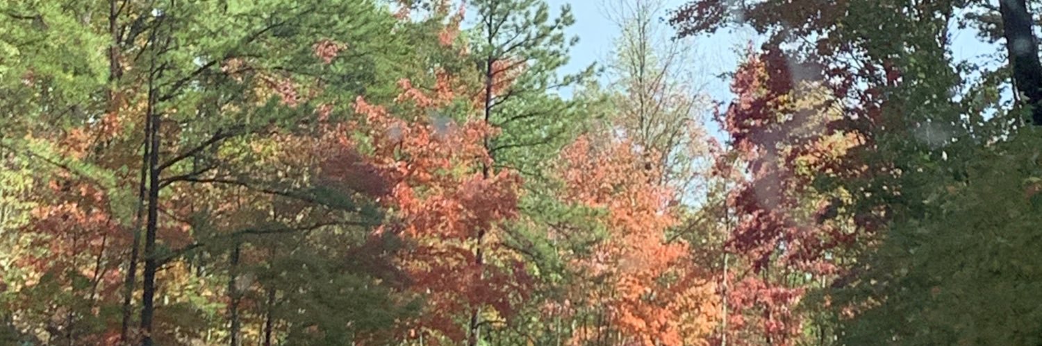 courtdavidsonn's profile banner image