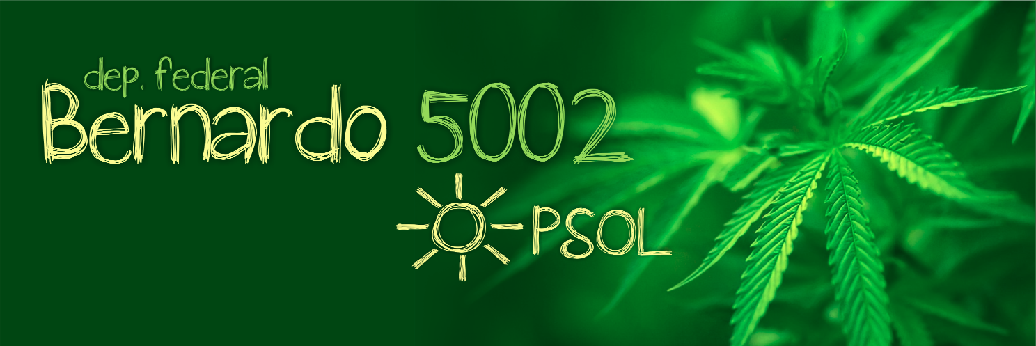 Bernardo5002's profile banner image
