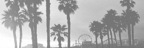 0hsnapmatt's profile banner image