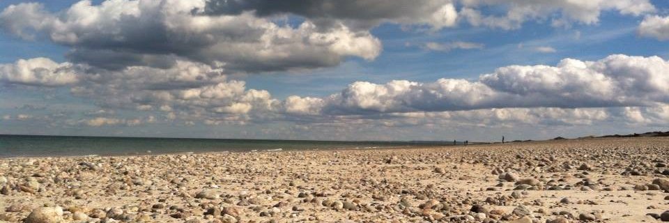 rockinajar's profile banner image