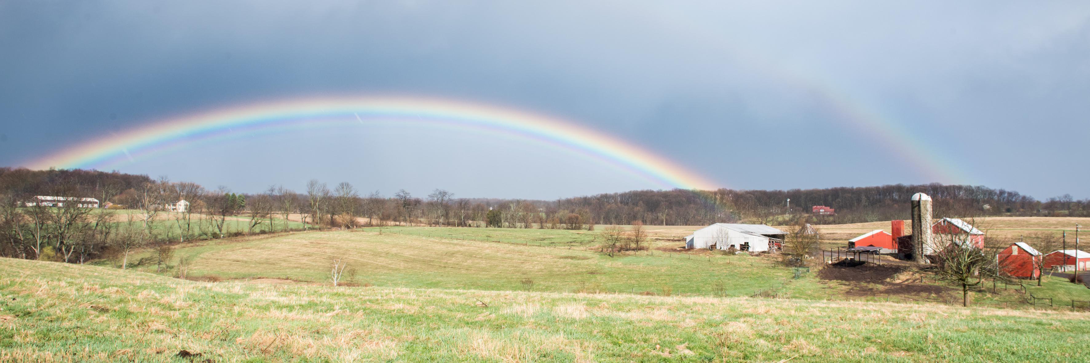 SYshutterbug's profile banner image