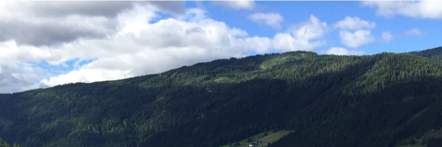 BSegaert's profile banner image