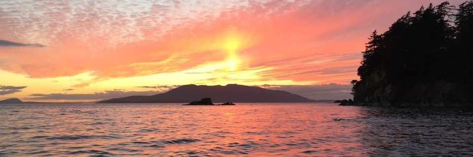 Brian Pahl (he/him) banner