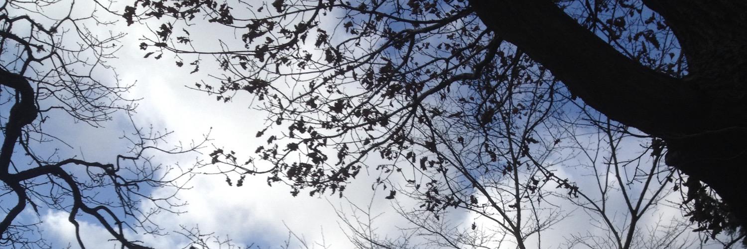 EmilyOwl13's profile banner image