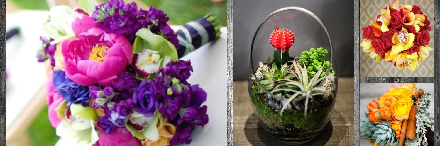 UrbanBotanicaSF's profile banner image