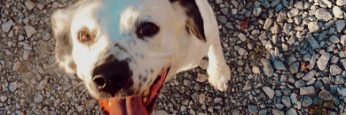 ferrell14_'s profile banner image