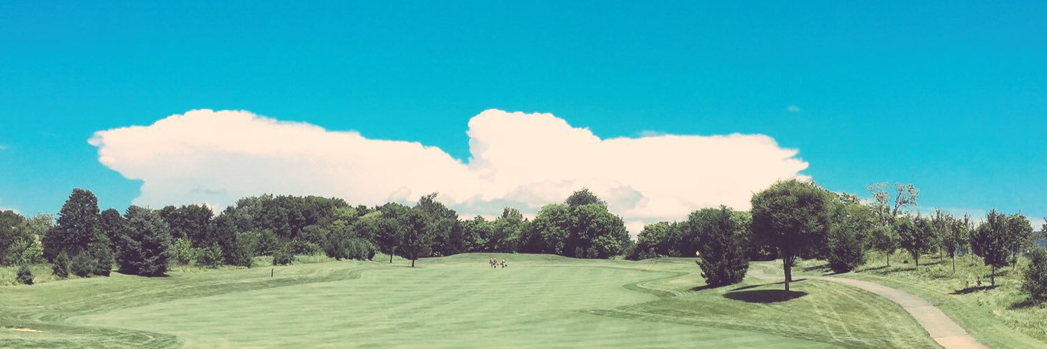 Brunswick HS Golf banner