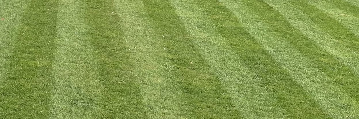 michael delve banner