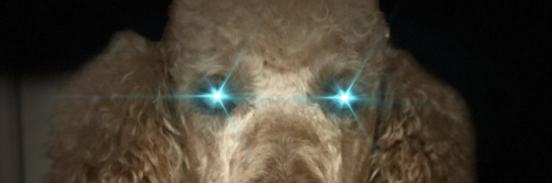 vilcu's profile banner image