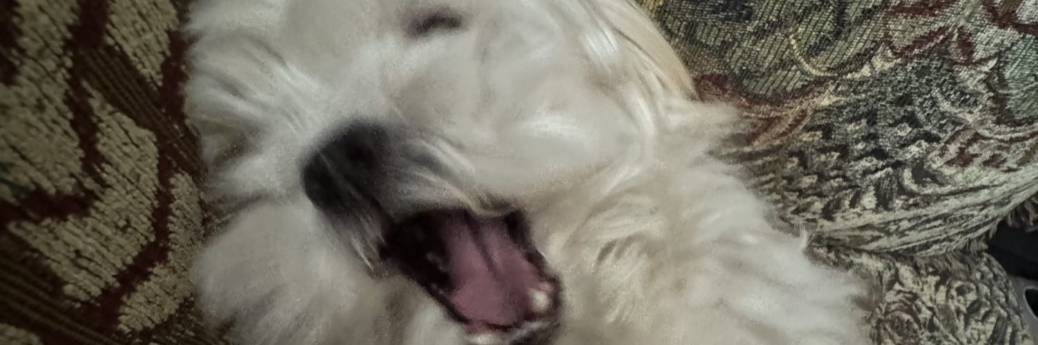 wheelsupintree's profile banner image