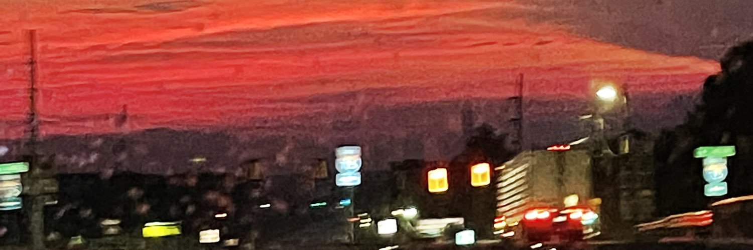 really_rylie's profile banner image