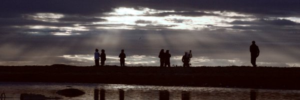 Video_Rob Profile Banner