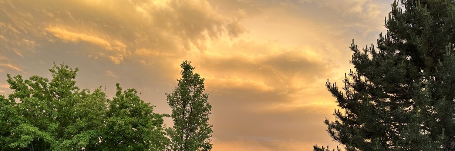 queenbee4910's profile banner image
