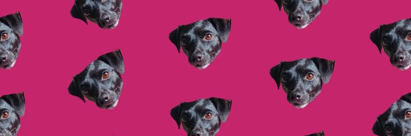 mlwitzler's profile banner image