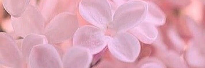 ciarahayden_'s profile banner image