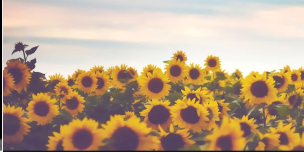 TayCutty's profile banner image