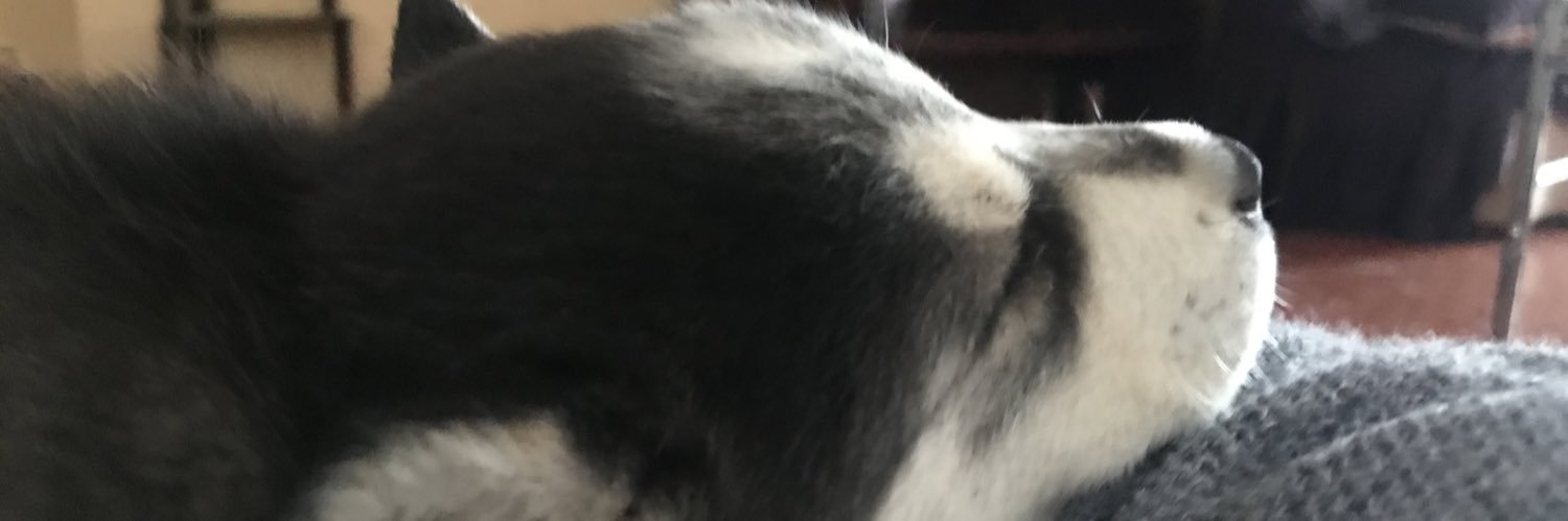 briansin23's profile banner image