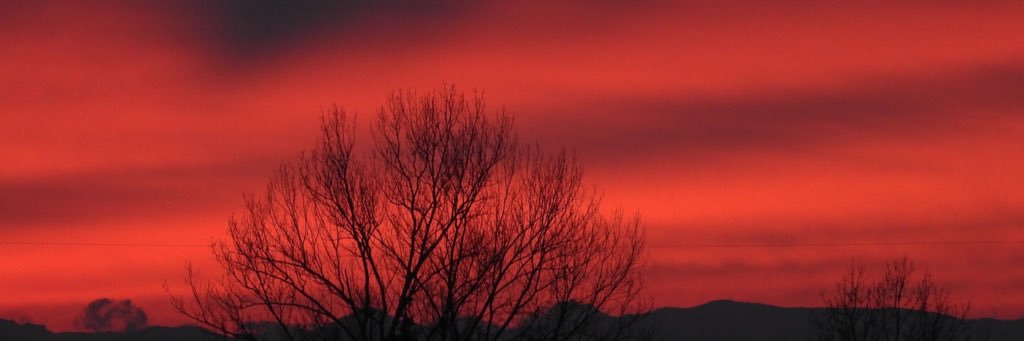 AncaNegureanu's profile banner image