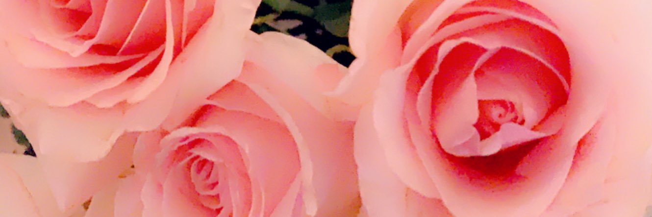 _PureeLovee's profile banner image