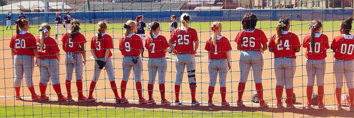 msdeltasoftball's profile banner image