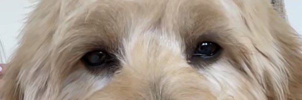 Aaron_Kuhl Profile Banner