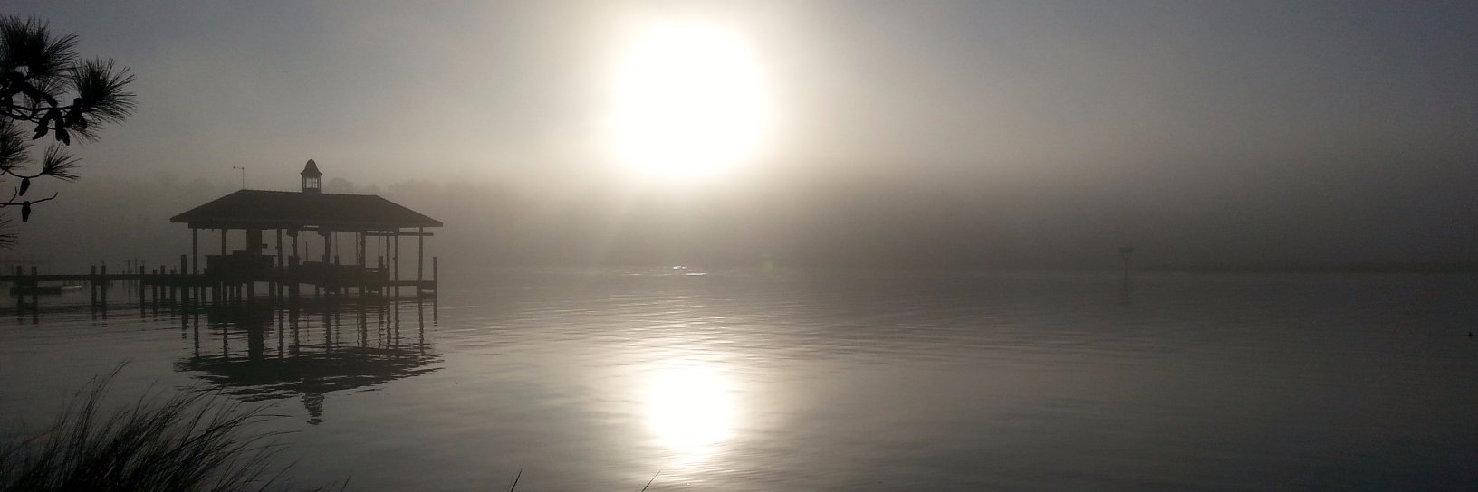 Micki_Harbour's profile banner image