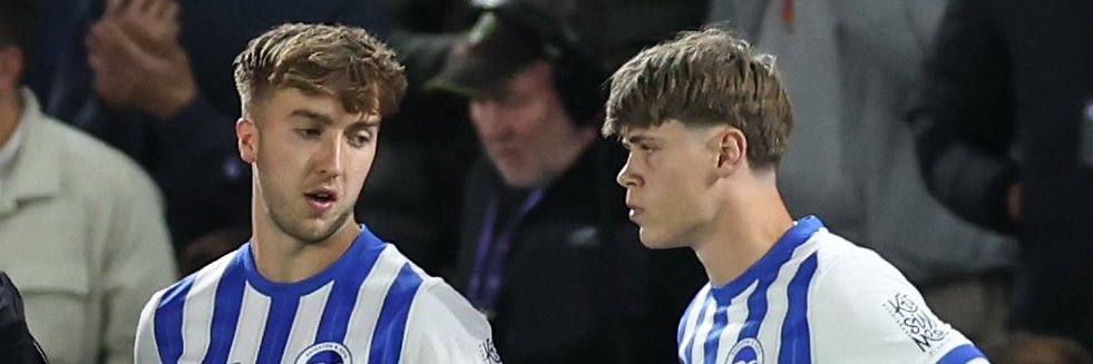 SaltedSeagull banner