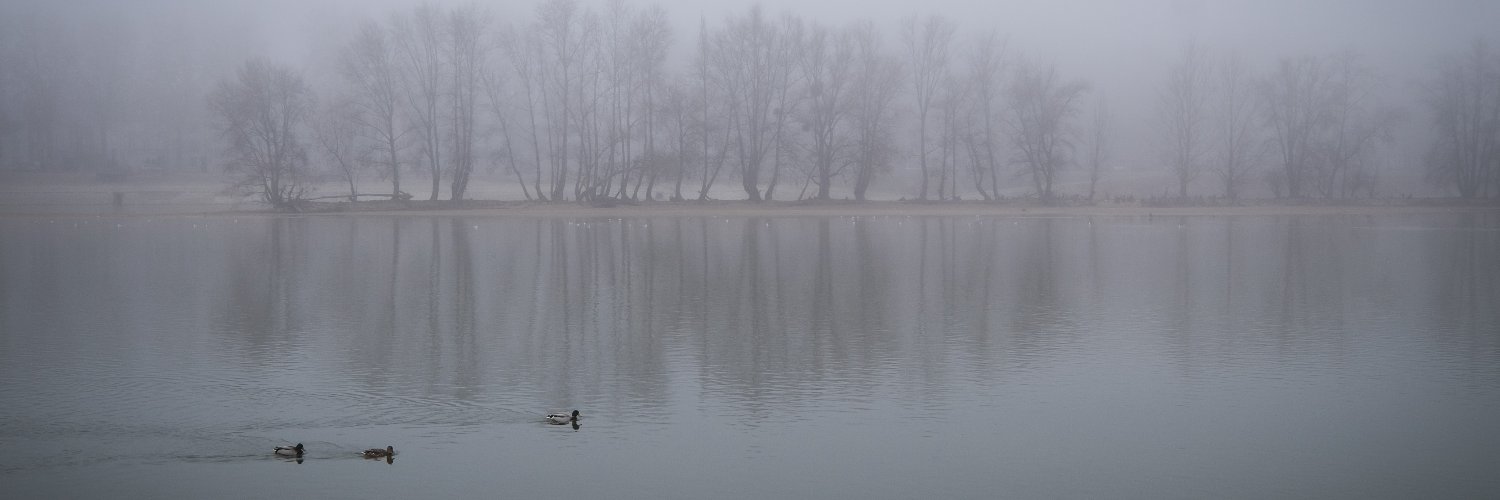 Luiz Celso Gomes Jr banner