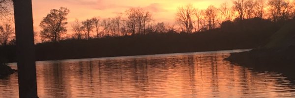 cwdesantis1 Profile Banner