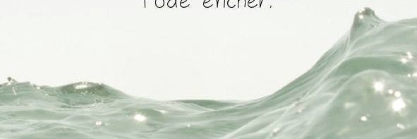 F. Tavares📚🌸 banner