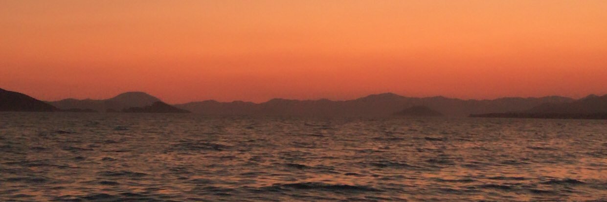 gulizulusoy's profile banner image