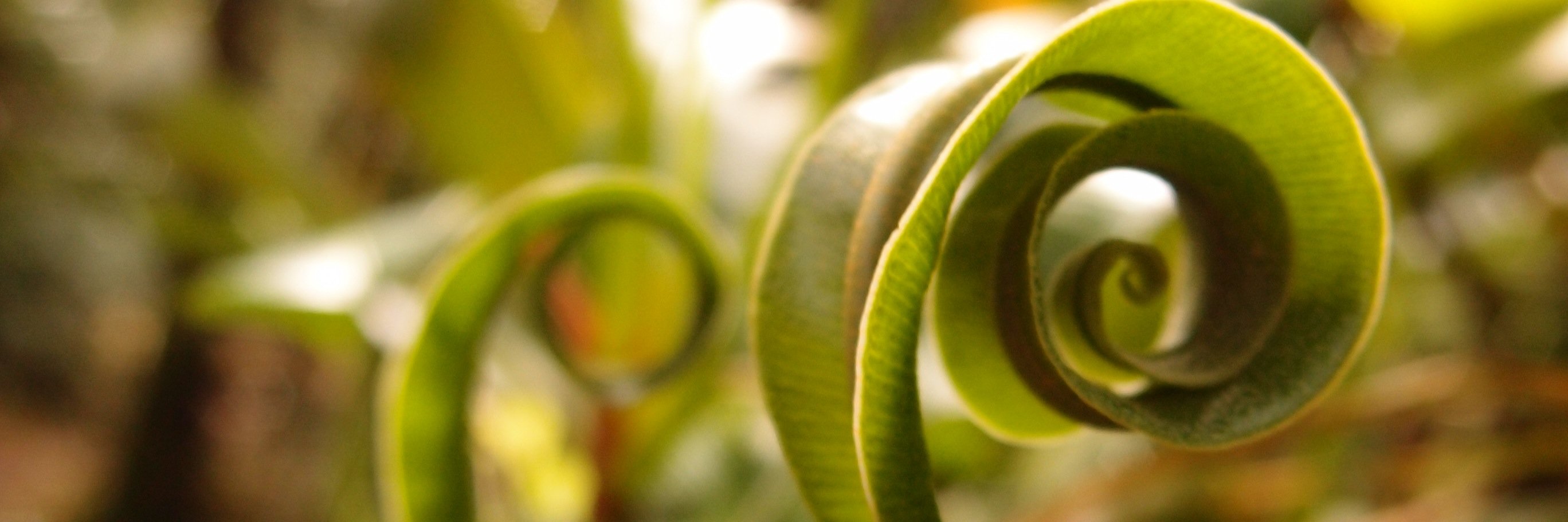 lawrencescience's profile banner image
