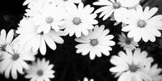 lukelimitsgdr's profile banner image