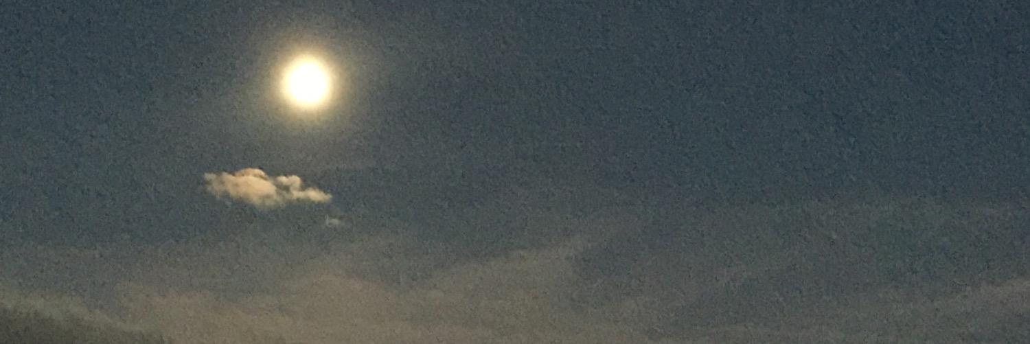 98horans's profile banner image
