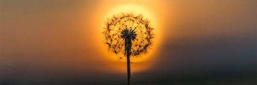 Raquel ❤️‍🩹 banner