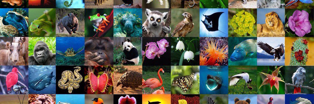 Keith Tuffley banner