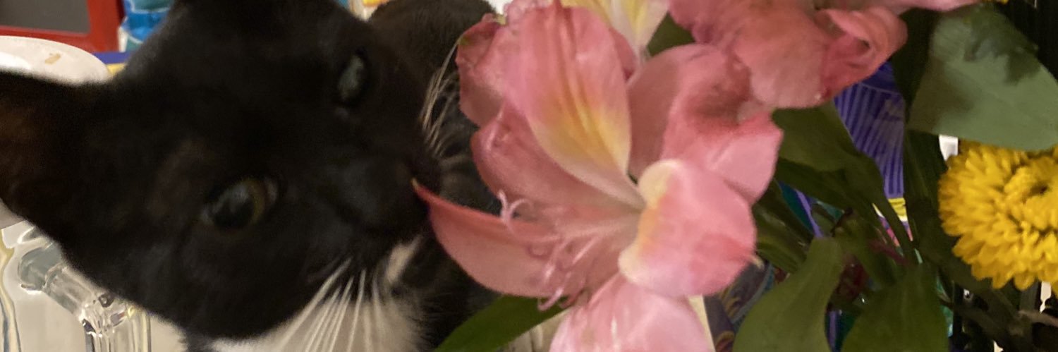 _olverashley_'s profile banner image