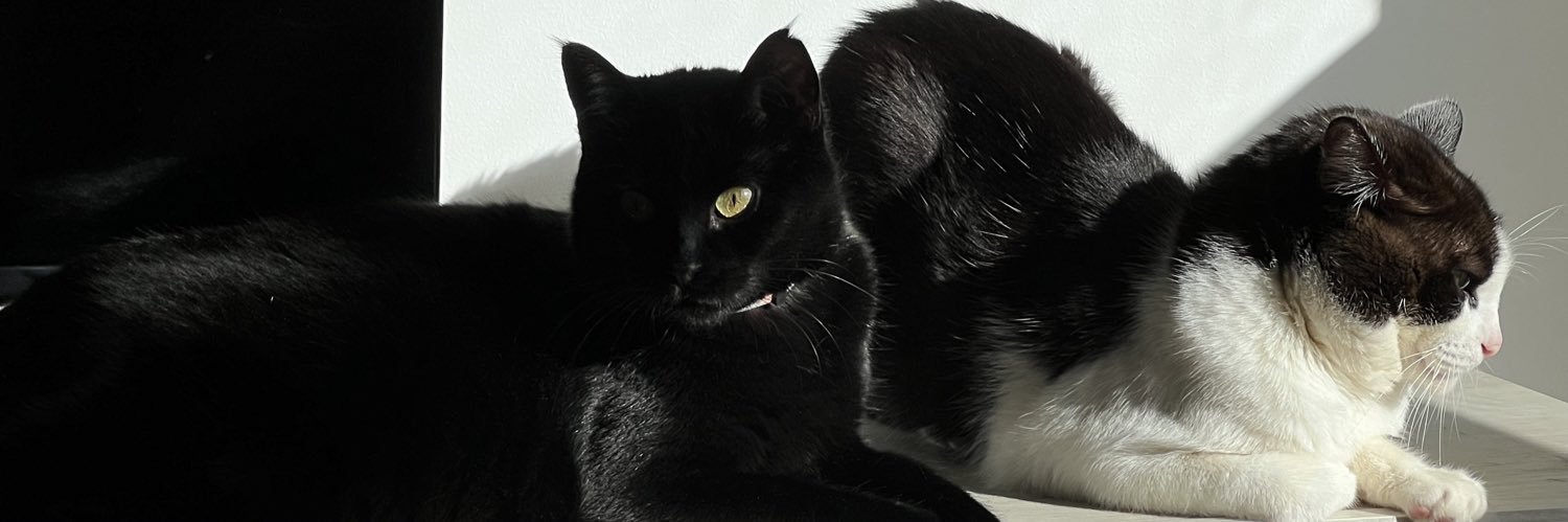 sintitulo24's profile banner image