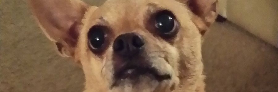 Faustivious's profile banner image