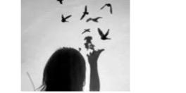 1234_msf's profile banner image