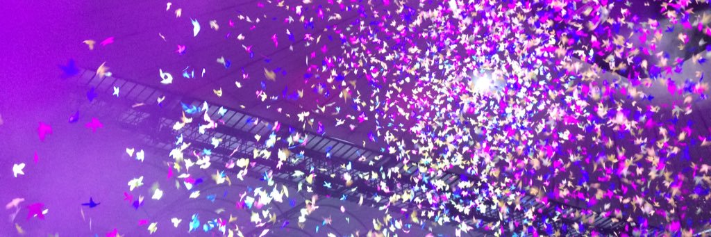 Ines_Pelaez23's profile banner image