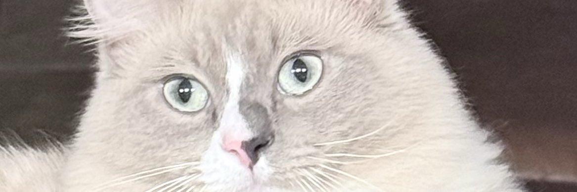 RICARDO_457's profile banner image