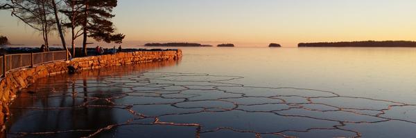 kalkio Profile Banner