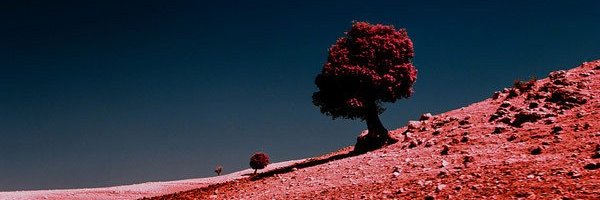 MnkyEXE's profile banner image
