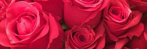 CathyFcv's profile banner image