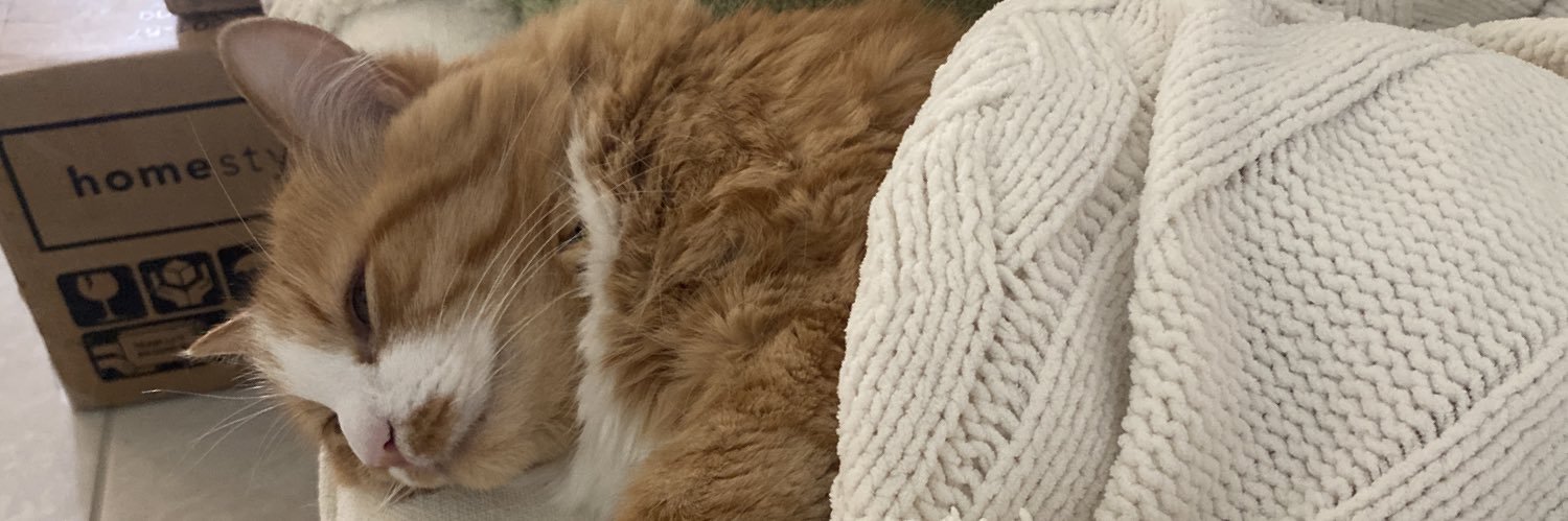 TheOnlyMaxiPad's profile banner image