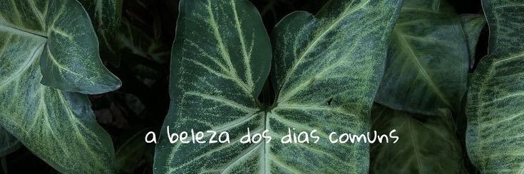 abrendoca's profile banner image