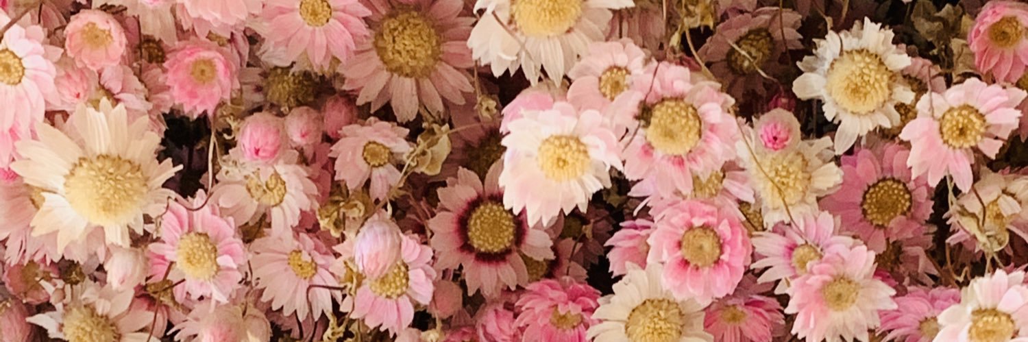CoachShapSHS's profile banner image