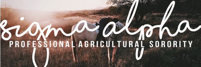 Sigma Alpha banner