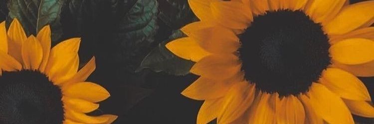 anaburiss's profile banner image